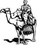 An illustration of a man riding atop of a camel.
