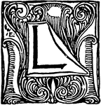 An illustration of a decorative letter "L".
