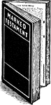An illustration of a book standing up.