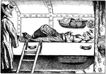 An illustration of a man laying in a bunk.