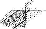 A fault is a planar fracture in rock in which the rock on one side of the fracture has moved with respect to the rock on the other side. Here, the arrow indicates the downthrow side.