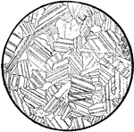 Granular crystallized limestone (marble) seen under crossed nicols.