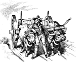 An illustration of a man with an ox cart.
