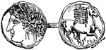 Carthaginian coin.