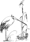 An illustration of a baby in a basket with a crane standing over it.