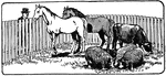 An illustration of farm animals, including two horses, three pigs, and a cow.
