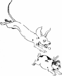 An illustration of a dog chasing another dog.