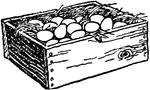 An illustration of a wooden box filled with eggs and hay.