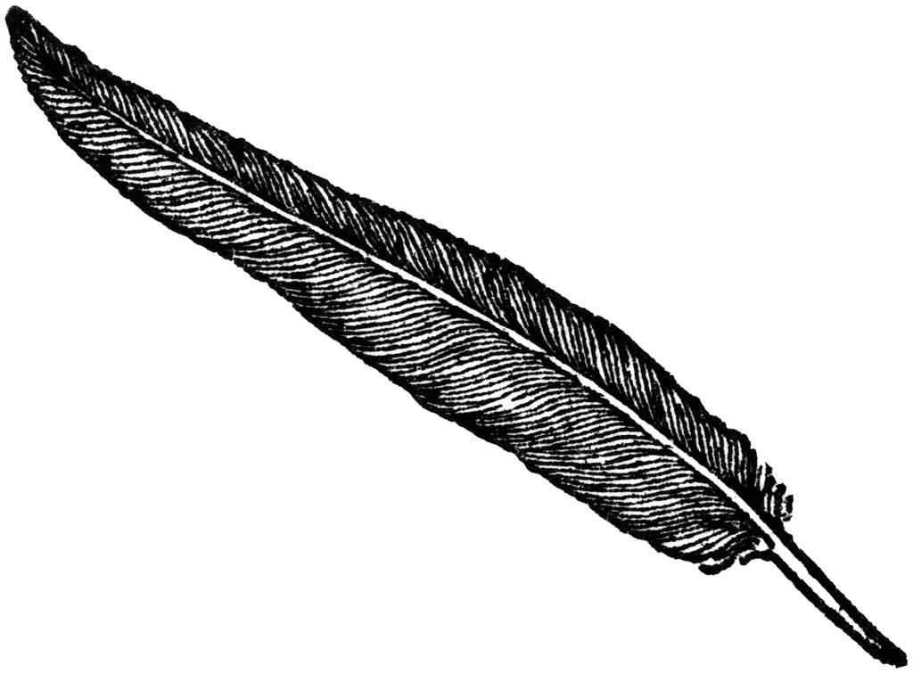 Black-Feather