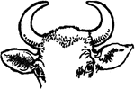 An illustration of a cows horns.