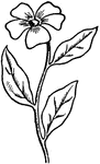 An illustration of a simple flower.