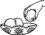 An illustration of a hand taking a piece of fruit from a bowl.