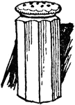 An illustration of a salt shaker.