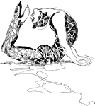 An illustration of a female contortionist.