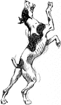 An illustration of a dog attempting to climb a wall.