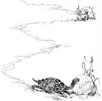 An illustration of a tortoise reaching his goal along a long path.