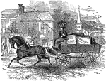 An illustration of a woman driving a horse and carriage.