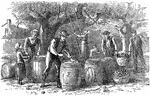 An illustration of a group of people picking apples.