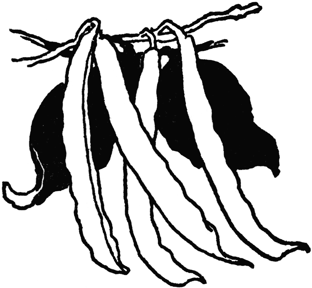 green beans clipart black and white