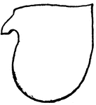A simple tilting shape of a shield or escutcheon in heraldry.