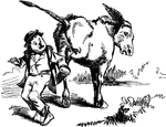 An illustration of a child being kicked by a donkey.
