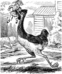 An illustration of an ostrich with a doll in its beak.
