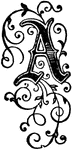 An illustration of a decorative letter A.
