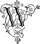 An illustration of a decorative letter W.
