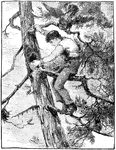 An illustration of a boy climbing a tree.