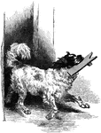 An illustration of a dog.