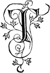 An illustration of a decorative letter T.