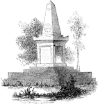 The marker consists of a square plinth topped by an obelisk and resting on a stepped platform. There are trees in the background and some vegetation in the foreground with the cat.