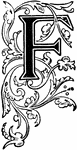 Capital letter "F" with floral embellishment.