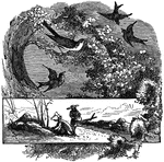 An illustration of four birds flying around a branch of a tree.