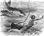 An illustration of a man being chased by a shark.
