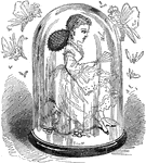 An illustration of a doll in a glass case.