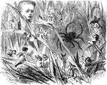 An illustration of small fairies surrounding a spider.
