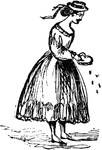 An illustration of a girl sprinkling seeds.