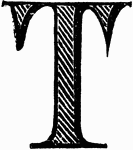 An illustration of a decorative letter T.