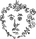 An illustration of flowers in the shape of a face.
