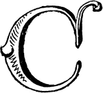 An illustration of a decorative letter C.
