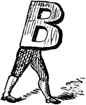 An illustration of a decorative letter B.