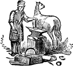 An illustration of a man shoeing a horse.