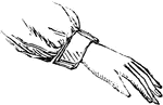 An illustration with a palm facing down.