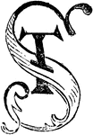 An illustration of decorative letters St.