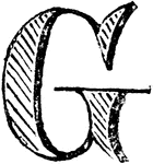 An illustration of a decorative letter G.