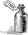An illustration of a bottle.