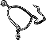 An illustration of a spur.