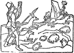 An illustration of a man hunting rabbits with two dogs.
