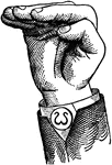 Consonants have a closed or narrowly expanded adjustment of the vocal organs, so that in their production some part of the throat or mouth obstructs, squeezes, or divides the breath. &hellip;in representing consonants the hand suggests a narrow adjustment of the organs, by having the prominent or accented fingers straightened and the second phalanx of the thumb close to the plane of the palm. <p> Non-Vocal Consonant positions have the voice phalanx of the thumb bent at right angles to the breath phalanx, or unaccented. Mixed-Divided Consonant positions have all of the fingers accented. Point Consonant positions, being anterior, have the palm upright and in line with the arm.